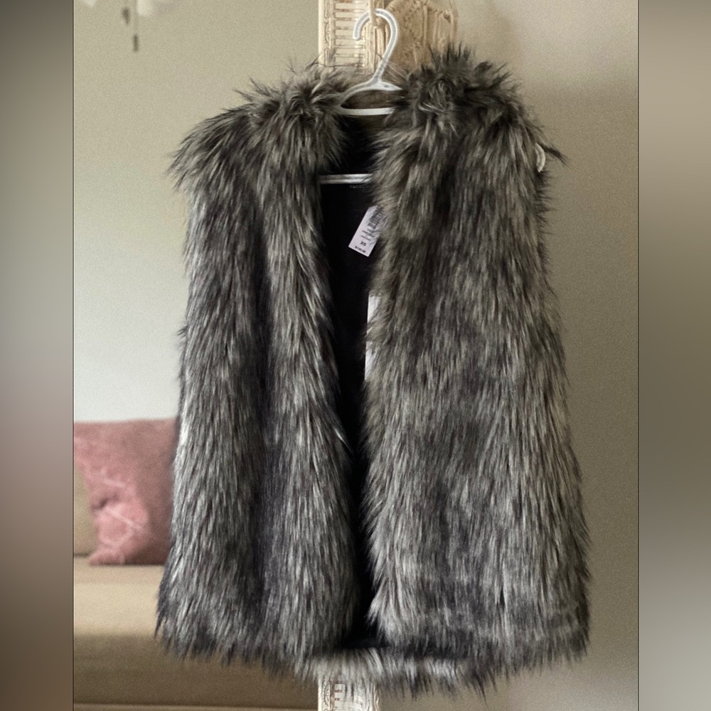 Aritzia Vest (Faux Fur)